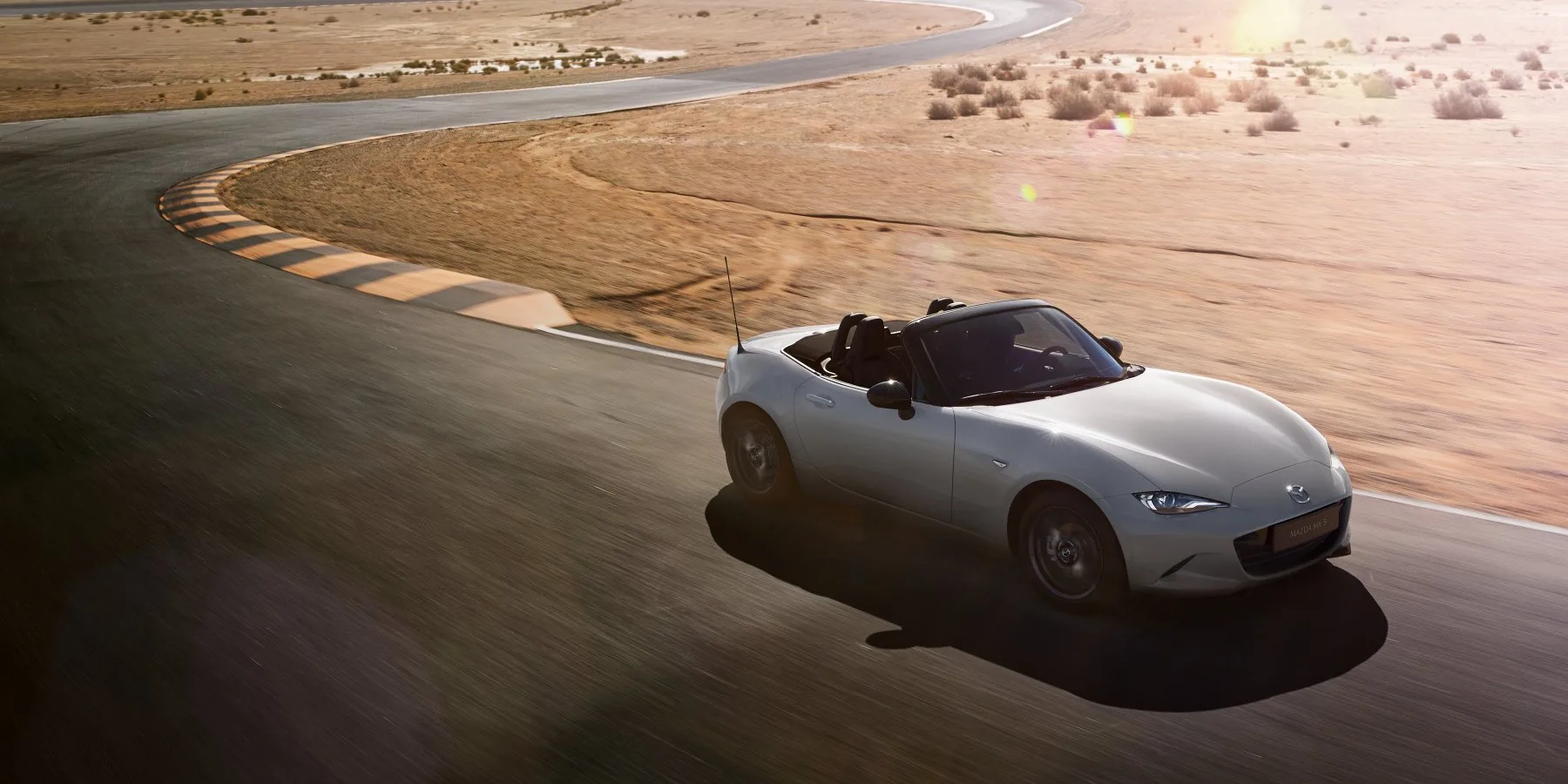 Large Main Banner